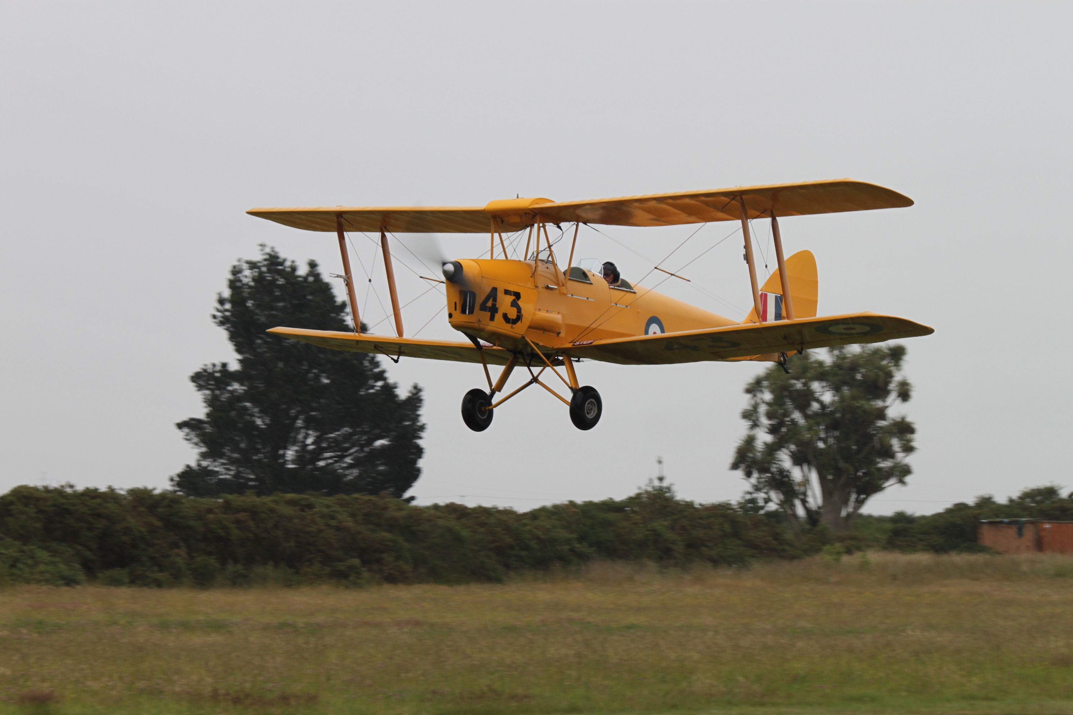 #9 DH Tiger Moth ZK-BRL